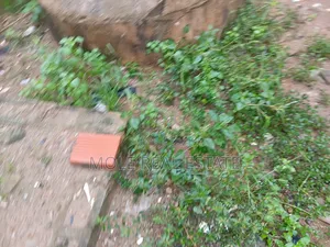 Photo - 2 Plots Cornerpiece Facing Egbeda Bustop