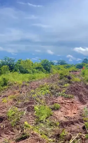 Land at Abakaliki