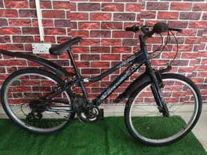 Adult Bicycle Size 24 Apollo