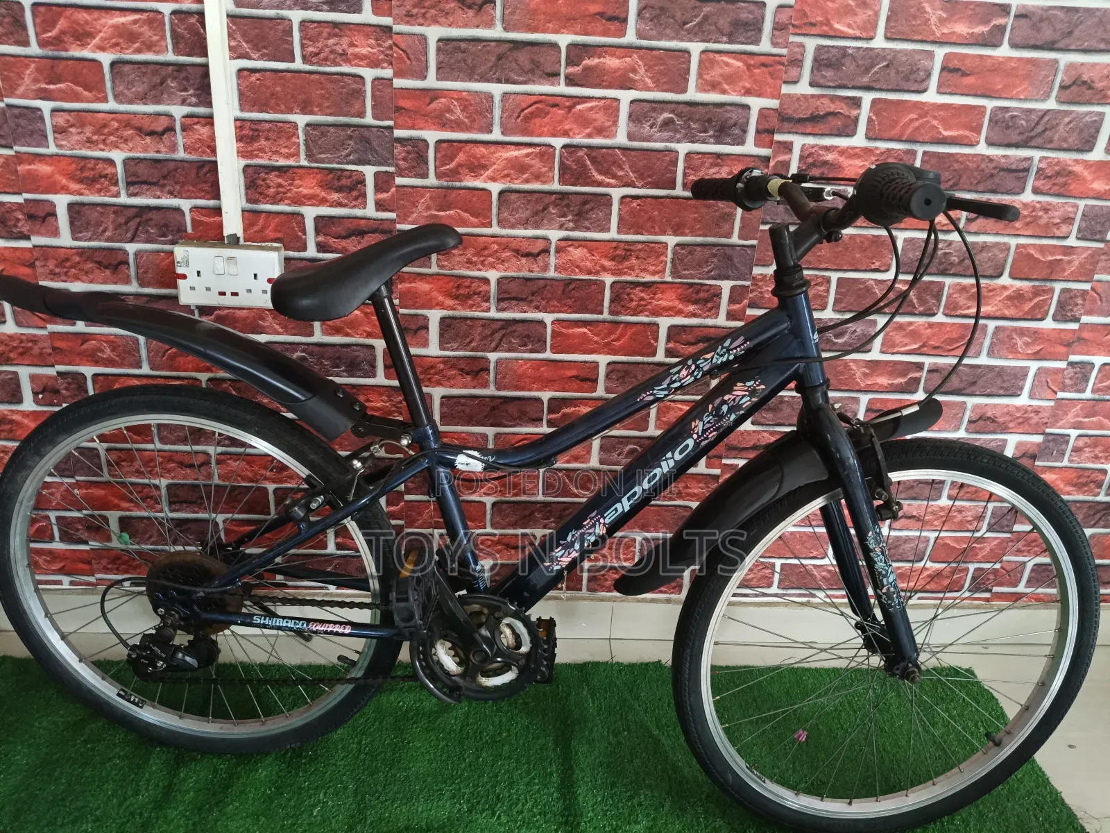 Adult Bicycle Size 24 Apollo