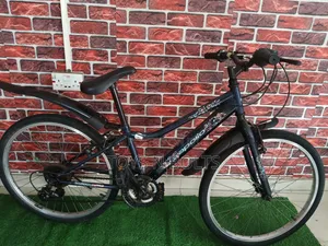 Adult Bicycle Size 24 Apollo