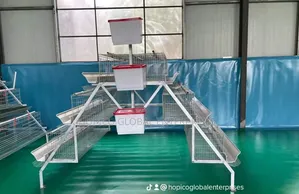 Hot  Deep Galvanized Cage