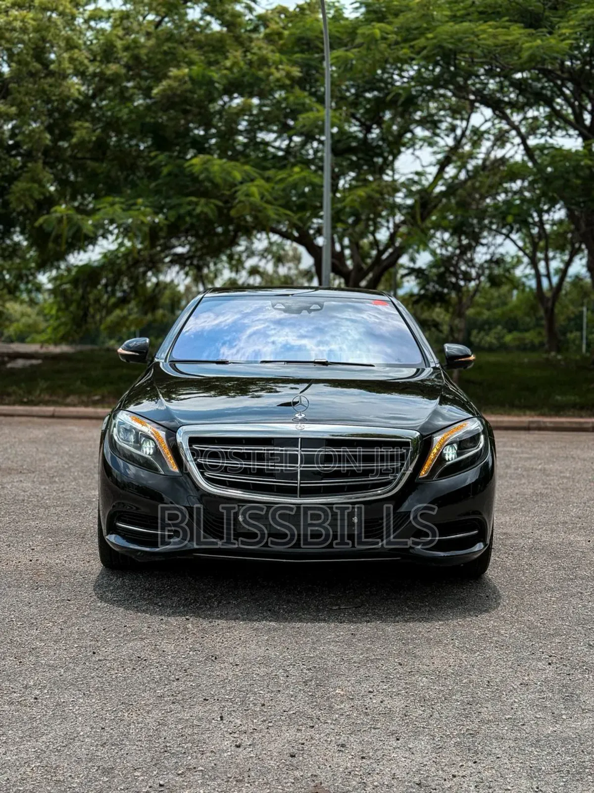 2015 Mercedes Benz S Class S 600 L (V222)