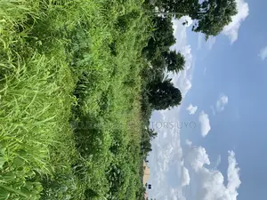 Photo - A Parcel of Land