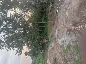 9.5 Hectares for Sale Kukwaba