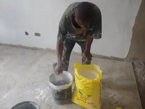 Don’T Compromise on Wallfinishing Go for Mr.Putty Screeding