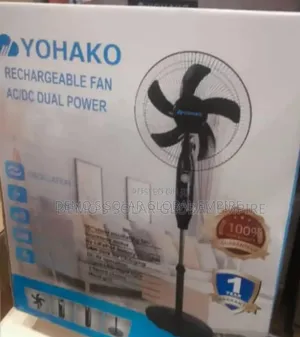 Rechargeable Standing Fan