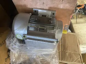 Electric Motor