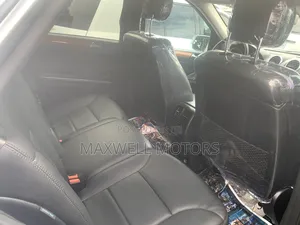 Mercedes-Benz M Class 2010 Silver