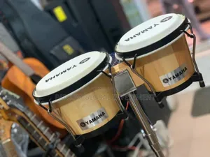Bongo Drum