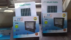 FFG Solar Flood Light