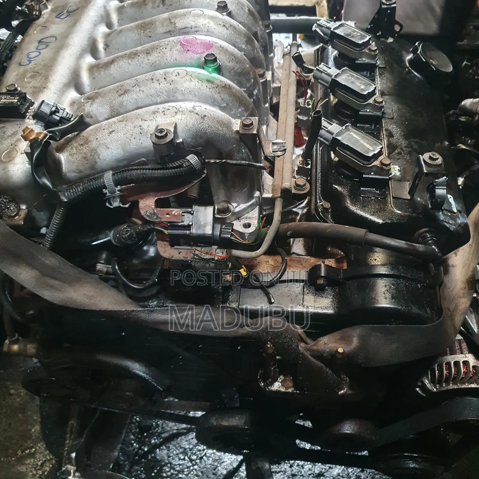 Engine Mitsubishi Anddevil