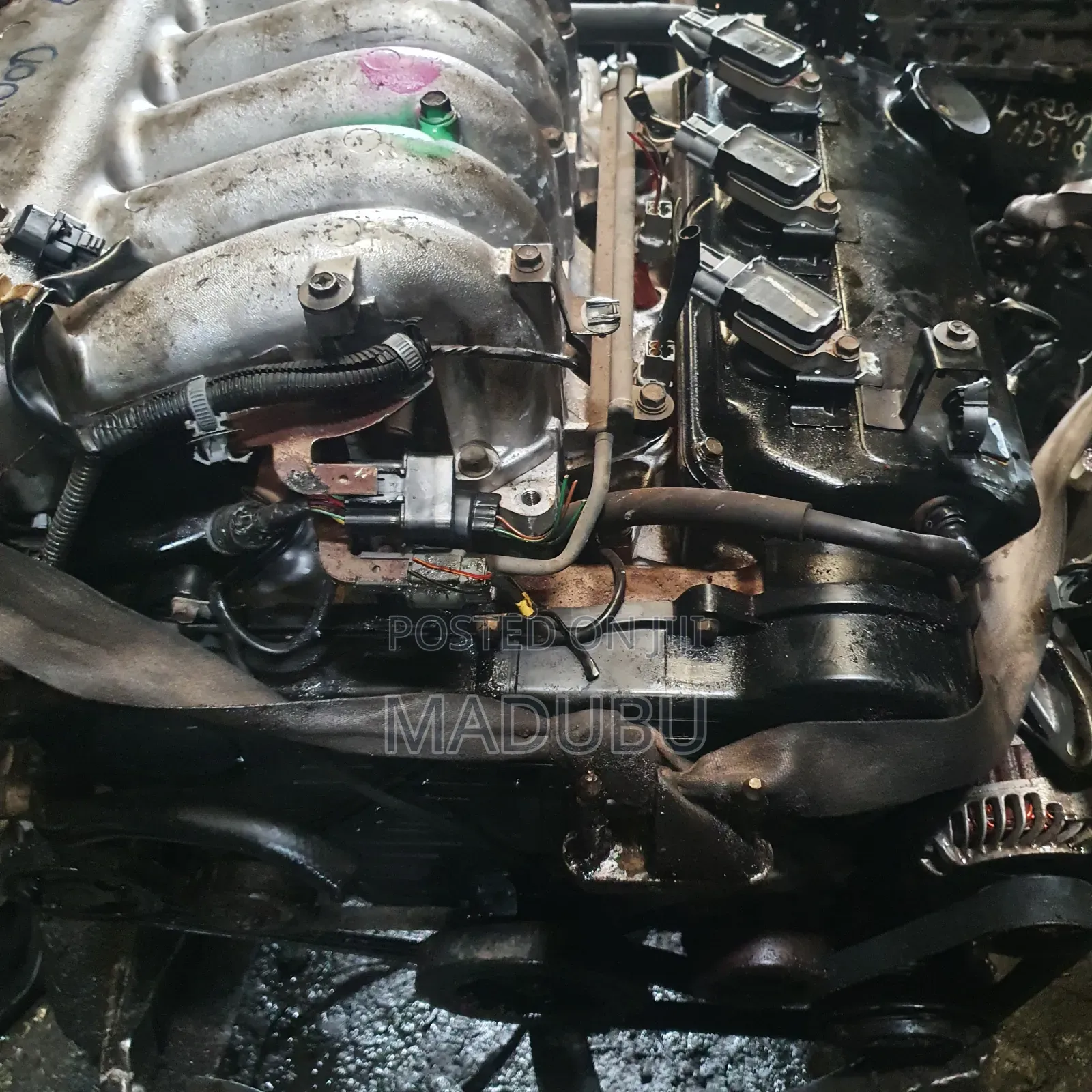 Engine Mitsubishi Anddevil
