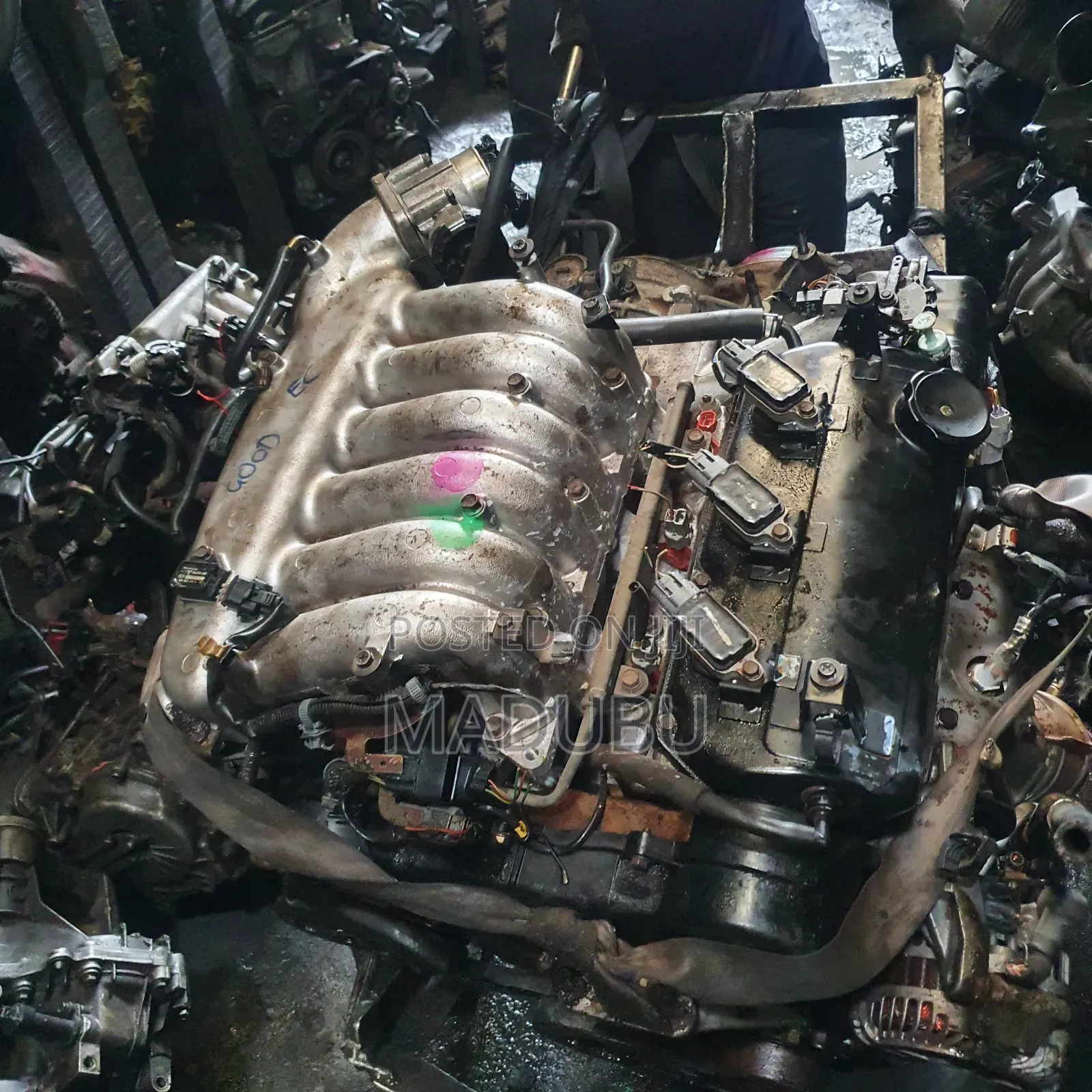 Engine Mitsubishi Anddevil