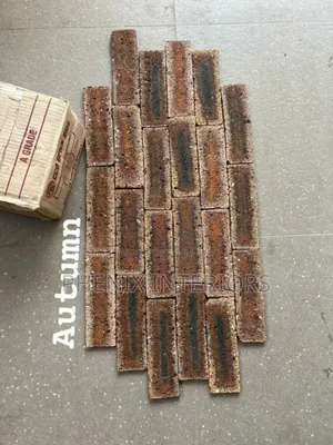 High Quality South African Bricks