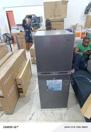 Skyrun BCD-195hs 195l Low Noise,Fast Freezing, Energy Saving