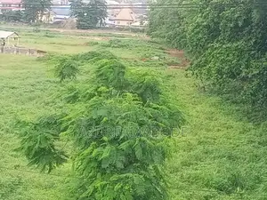 Exceptional Plot of Land