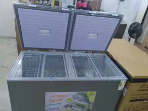 Snowsea Chest Freezer Bd-600g With Large Capacity