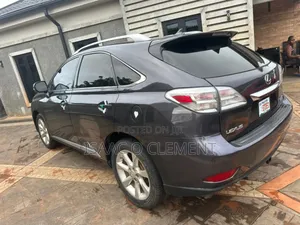 Lexus RX 350 2010 Gray