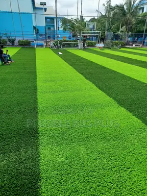 Fifa Standard Football Grass