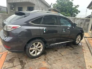Lexus RX 350 2010 Gray
