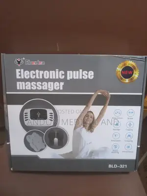 Original Electronic Pulse Massager