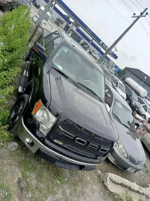 Photo - Ford F-150 2009 Blue