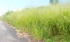 700 Plots of Land for Sale at Afor, Along Kwale Asaba Road