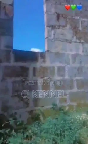 Furnished 6bdrm House in Prime Property, Ugheli for sale