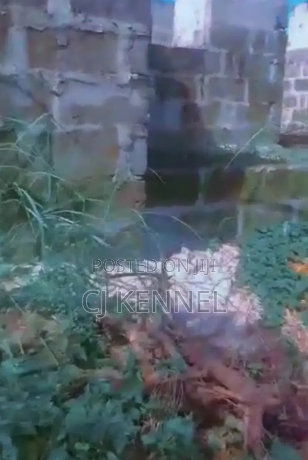 Furnished 6bdrm House in Prime Property, Ugheli for sale