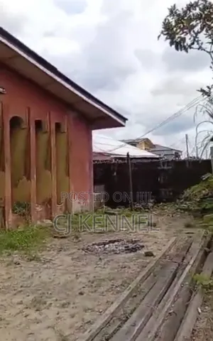 Photo - 5bdrm Bungalow in Prime Property, Ugheli for sale