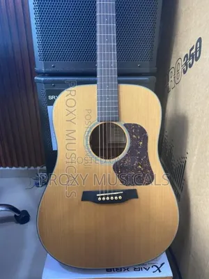 Photo - Walden Acoustic Guitar 
