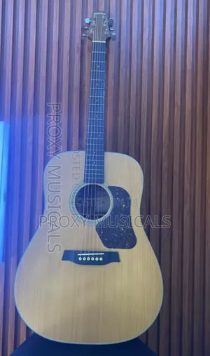 Walden Acoustic Guitar 