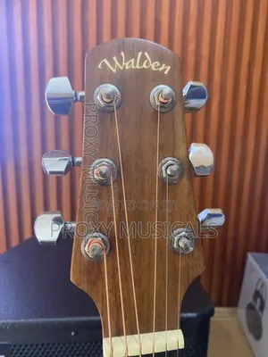 Walden Acoustic Guitar 