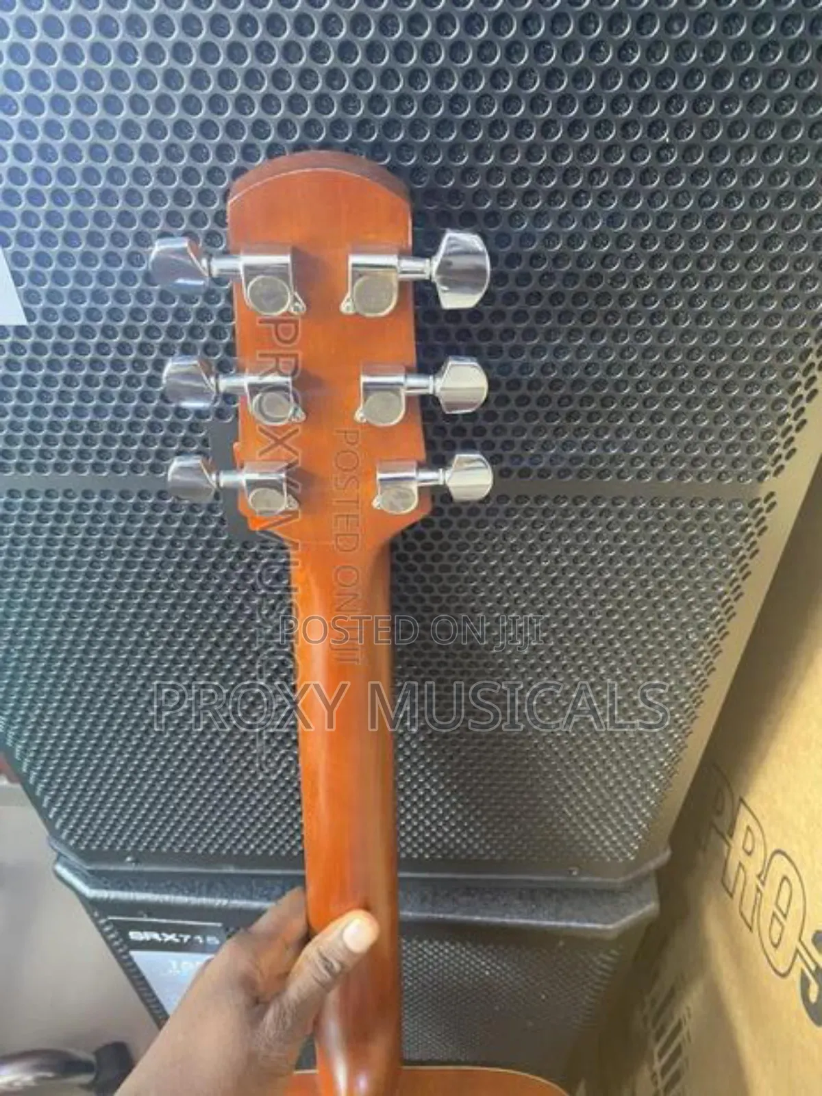 Walden Acoustic Guitar 
