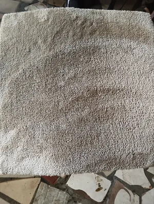 Wall to Wall Rug