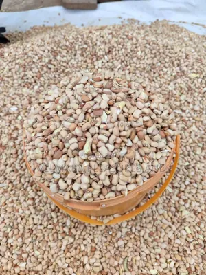 Photo - A Painter of Well-Selected Beans