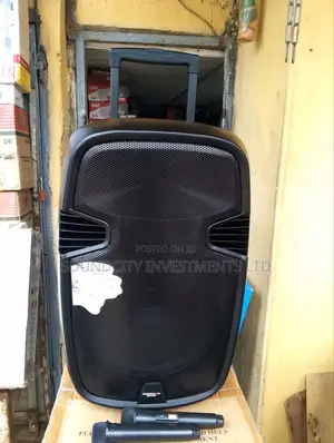 Modern-day Big Body 15" Pa System  With Speaker Out.