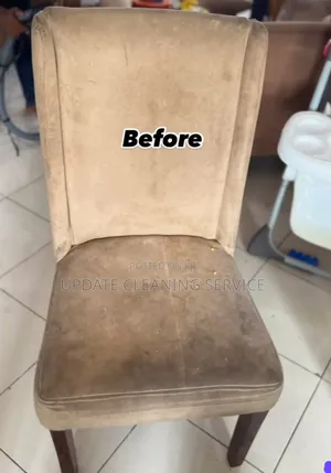 Upholstery Cleaning Services