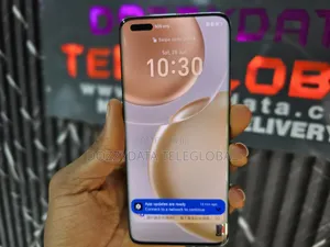 Honor Magic4 256 GB Gray