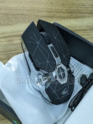 Wireless Gamepad RGB Lights Adjustable Dpi Quiet Click