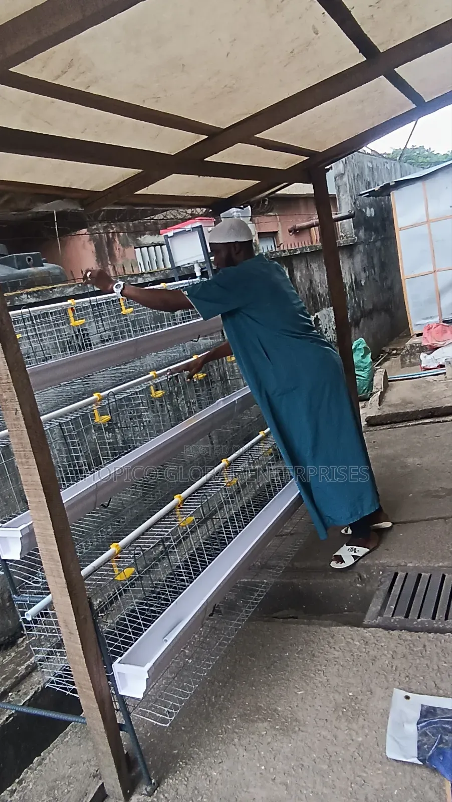 Fence Side Poultry Cage