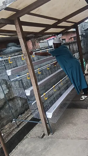 Fence Side Poultry Cage