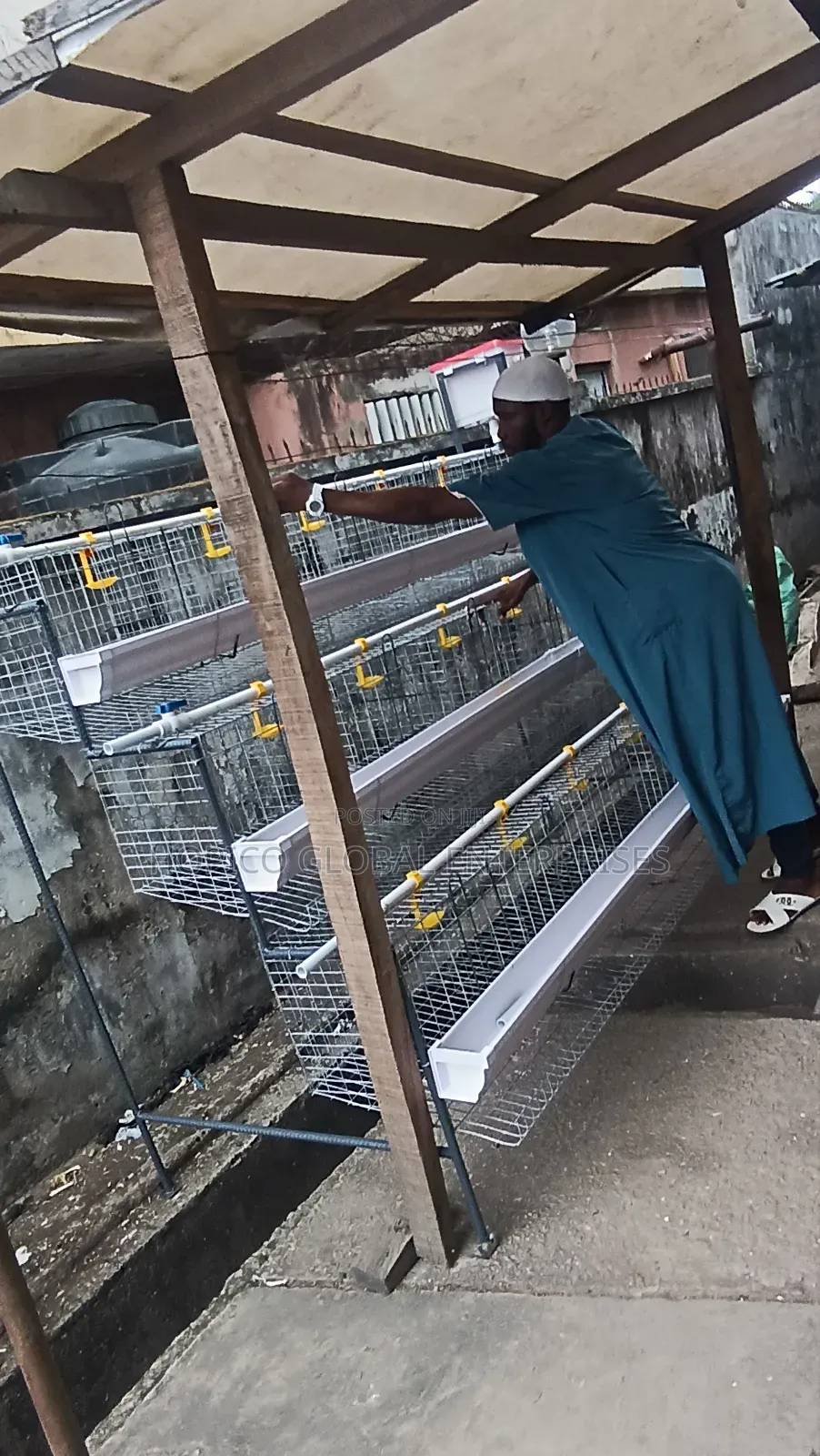 Fence Side Poultry Cage