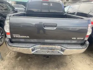 Toyota Tacoma 2010 Gray