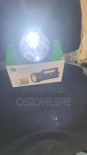 Security Torchlight