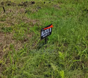 Land for Sale in Sangotedo Off the New Coastal Road