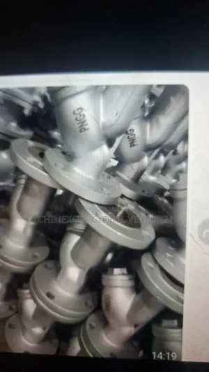 Strainer Valve 
