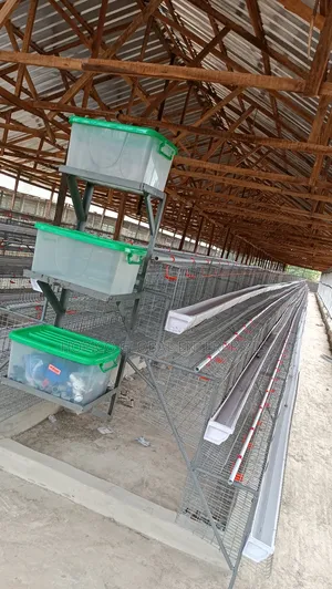 Poultry Battery Cage