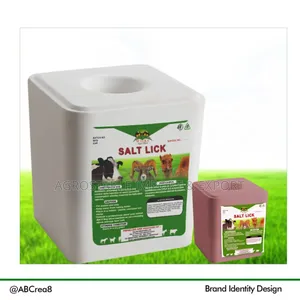 Salt Lick for Animal Use